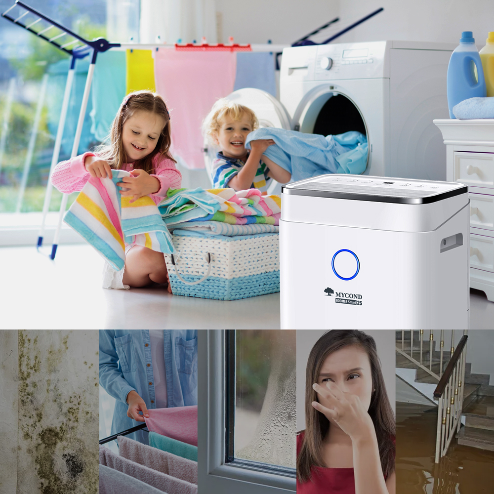 переваги осушувача проти плісняви