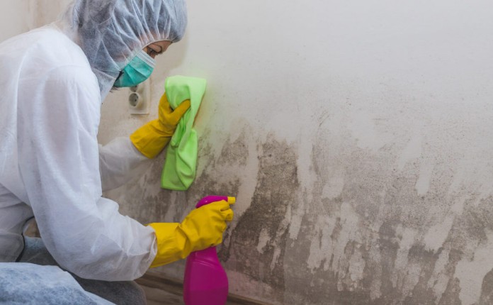 дезинфекція стін