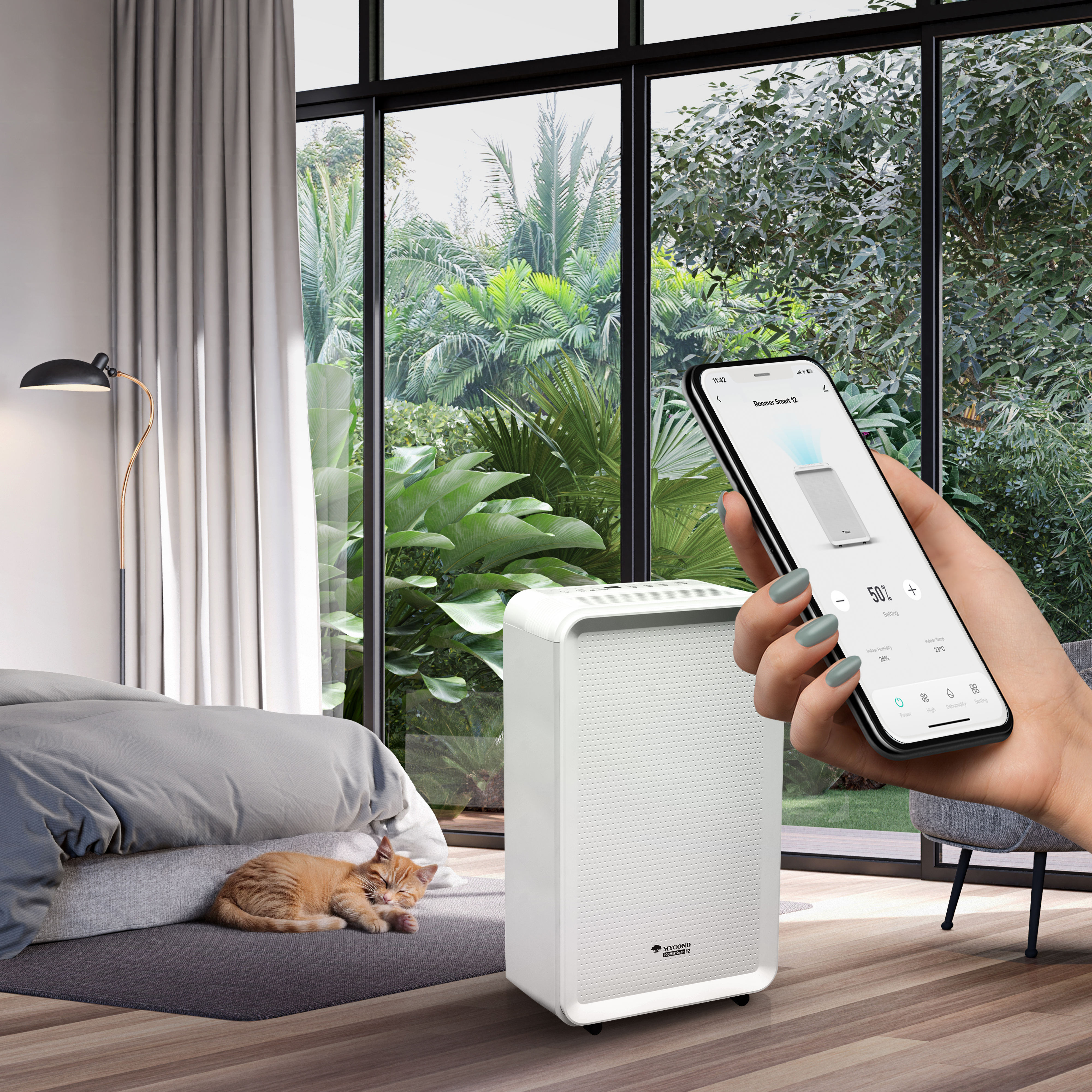 осушитель - лучшее решение против плесени на окнах