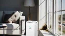 Как избавиться от сырости в доме