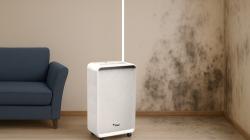 Как убрать плесень со стен и обоев