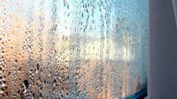 Как убрать влажность в квартире или доме