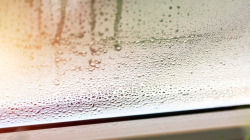 Повышенная влажность воздуха: угроза здоровью и дому