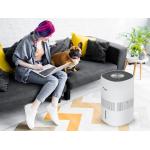 Увлажнитель с функцией очистки воздуха MYCOND H:BLOOM 650 преимущества